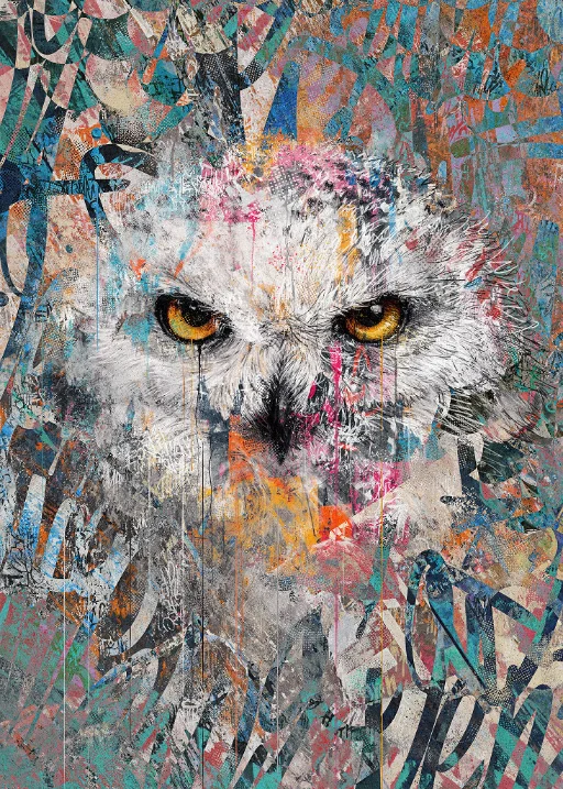 Silent Gaze: weißgraue Eule mit goldgelben Augen zwischen türkisen, pinken und orangefarbenen Graffiti-Strukturen.