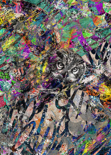 Ausdrucksstarkes Urban-Art-Eulenmotiv im Graffiti Stil – Wachsamkeit, Weisheit und urbane Tiefe.